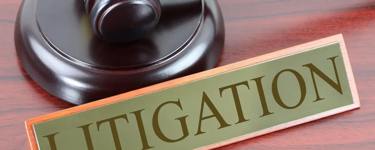 What is Litigation