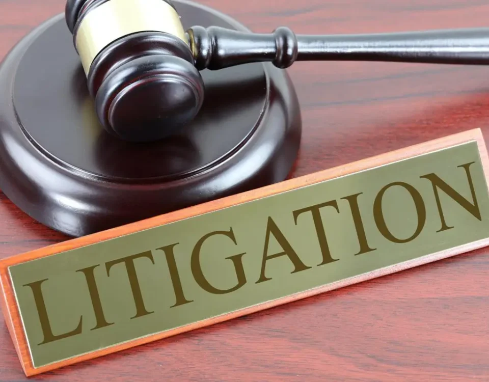 What is Litigation